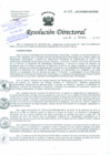 Vista preliminar de documento Resolución de Dirección Directoral