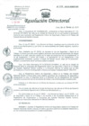 Vista preliminar de documento Resolución de Dirección Directoral