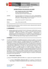 Vista preliminar de documento INFORME TECNICO 185-2020 DGAAM.PC VIROC.VBal.rev dea[R].pdf