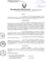Vista preliminar de documento Resolución Directoral