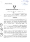 Vista preliminar de documento Resolución Directoral