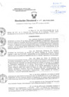 Vista preliminar de documento Resolución Directoral