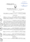 Vista preliminar de documento Resolución Directoral