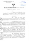 Vista preliminar de documento Resolución Directoral