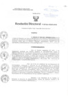 Vista preliminar de documento Resolución Directoral