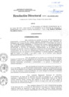 Vista preliminar de documento Resolución Directoral
