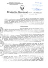 Vista preliminar de documento Resolución Directoral