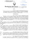 Vista preliminar de documento Resolución Directoral