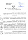 Vista preliminar de documento Resolución Directoral