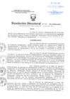 Vista preliminar de documento Resolución Directoral