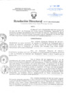 Vista preliminar de documento Resolución Directoral
