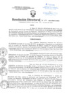 Vista preliminar de documento Resolución Directoral