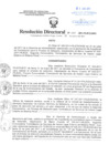Vista preliminar de documento Resolución Directoral