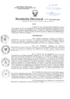 Vista preliminar de documento Resolución Directoral