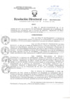 Vista preliminar de documento Resolución Directoral