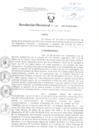 Vista preliminar de documento Resolución Directoral