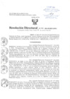 Vista preliminar de documento Resolución Directoral