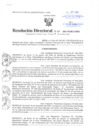 Vista preliminar de documento Resolución Directoral
