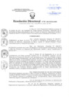 Vista preliminar de documento Resolución Directoral
