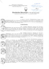 Vista preliminar de documento Resolución Directoral