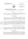 Vista preliminar de documento Resolución Directoral