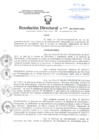 Vista preliminar de documento Resolución Directoral