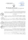 Vista preliminar de documento Resolución Directoral