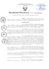 Vista preliminar de documento Resolución Directoral