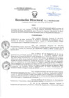 Vista preliminar de documento Resolución Directoral
