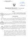 Vista preliminar de documento Resolución Directoral