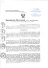 Vista preliminar de documento Resolución Directoral