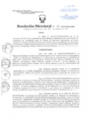 Vista preliminar de documento Resolución Directoral