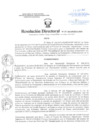 Vista preliminar de documento Resolución Directoral