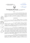 Vista preliminar de documento Resolución Directoral