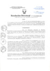 Vista preliminar de documento Resolución Directoral
