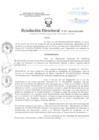Vista preliminar de documento Resolución Directoral
