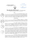 Vista preliminar de documento Resolución Directoral