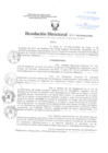 Vista preliminar de documento Resolución Directoral