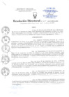 Vista preliminar de documento Resolución Directoral