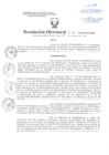 Vista preliminar de documento Resolución Directoral