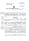 Vista preliminar de documento Resolución Directoral