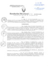 Vista preliminar de documento Resolución Directoral