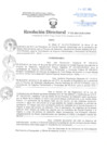 Vista preliminar de documento Resolución Directoral