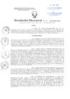 Vista preliminar de documento Resolución Directoral