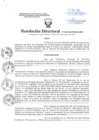 Vista preliminar de documento Resolución Directoral