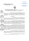 Vista preliminar de documento Resolución Directoral