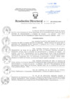 Vista preliminar de documento Resolución Directoral