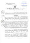 Vista preliminar de documento Resolución Directoral