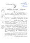 Vista preliminar de documento Resolución Directoral