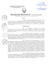 Vista preliminar de documento Resolución Directoral